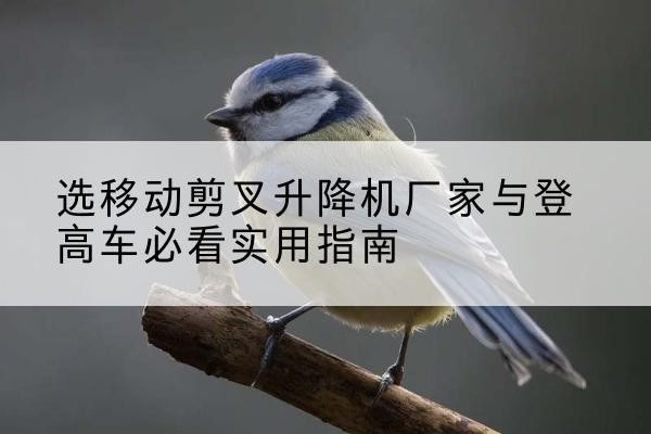 金山区电动升降机厂家-选移动剪叉升降机厂家与登高车必看实用指南
