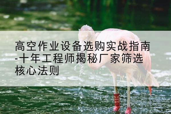 金山区剪叉式升降机厂家-高空作业设备选购实战指南-十年工程师揭秘厂家筛选核心法则