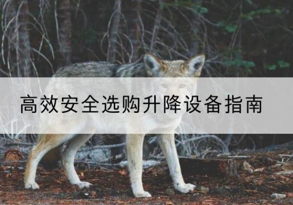 金山区升降货梯厂家推荐-*安全选购升降设备指南
