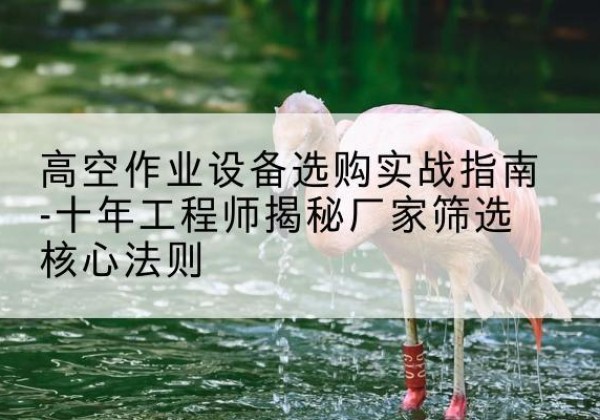 金山区剪叉式升降机厂家-高空作业设备选购实战指南-十年工程师揭秘厂家筛选核心法则