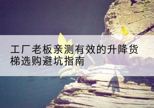 金山区升降货梯怎么选-工厂老板亲测有效的升降货梯选购避坑指南
